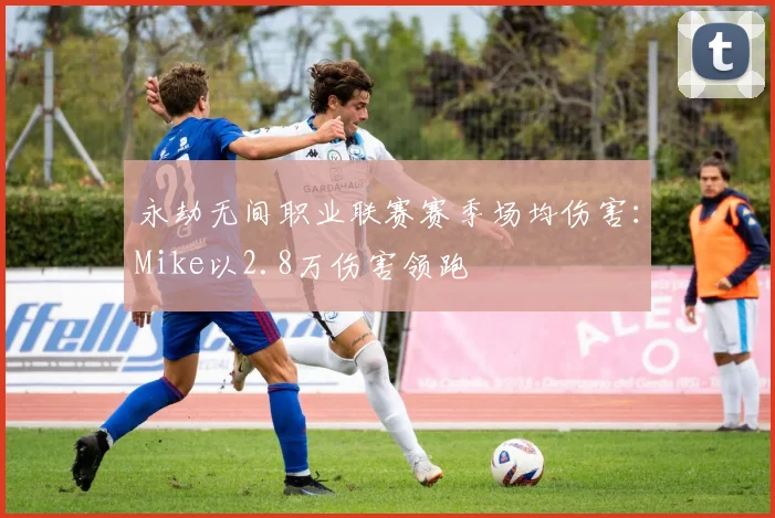 永劫无间职业联赛赛季场均伤害:Mike以2.8万伤害领跑