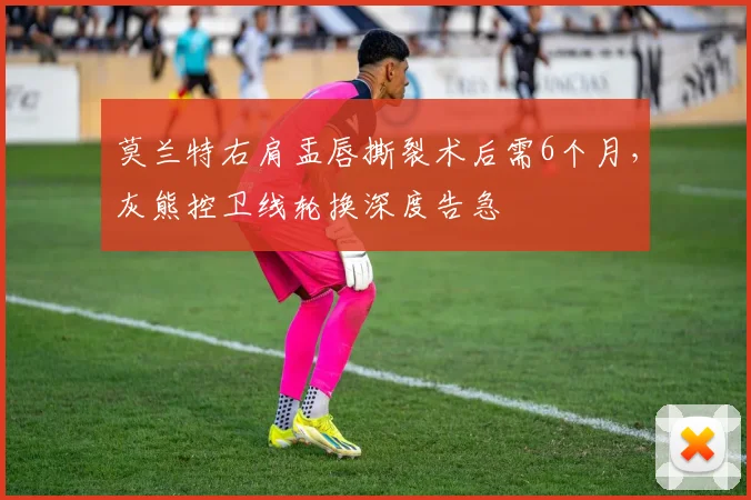 莫兰特右肩盂唇撕裂术后需6个月，灰熊控卫线轮换深度告急